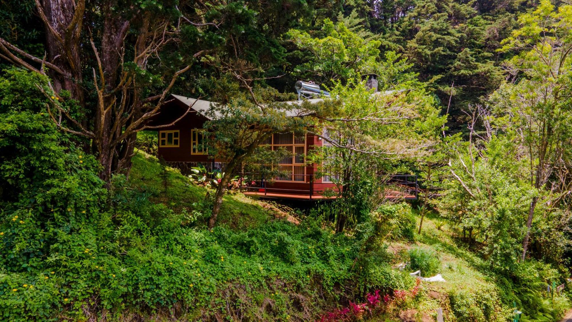 Los Pinos Cabins & Reserve Monteverde 外观 照片