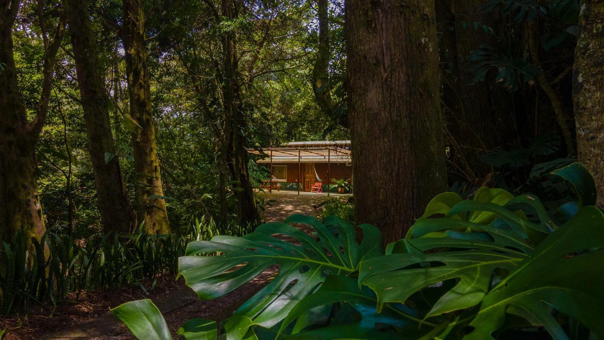Los Pinos Cabins & Reserve Monteverde 外观 照片